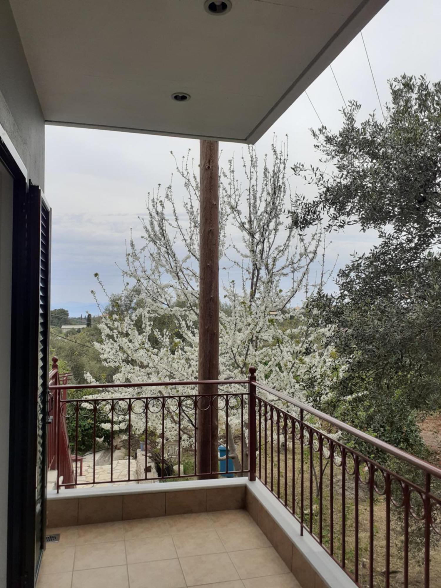 Monika Lefkada Hotel Tsoukaládhes Eksteriør billede